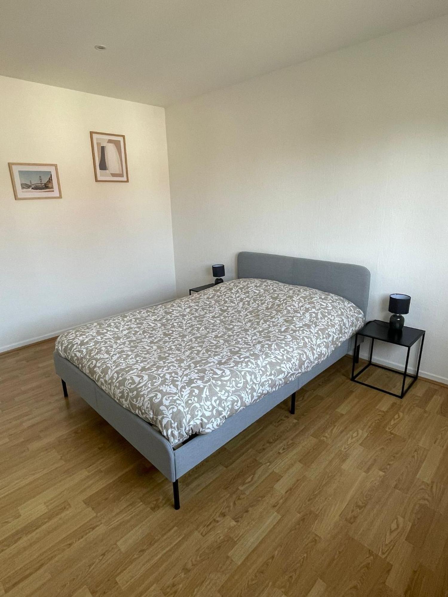De 115m2 A 10 Min De Strasbourg & 25 Min D'europa Park ! Appartement Illkirch-Graffenstaden
